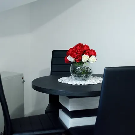 Apartment Zafir 1 Vrnjačka Banja